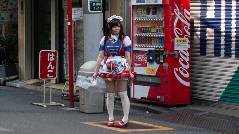 A maid in Akihabara
