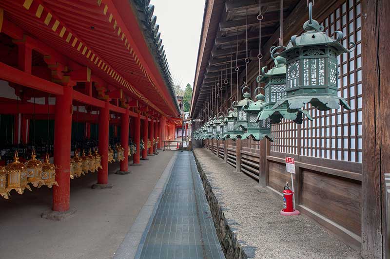kasuga hanging lanterns in Nara