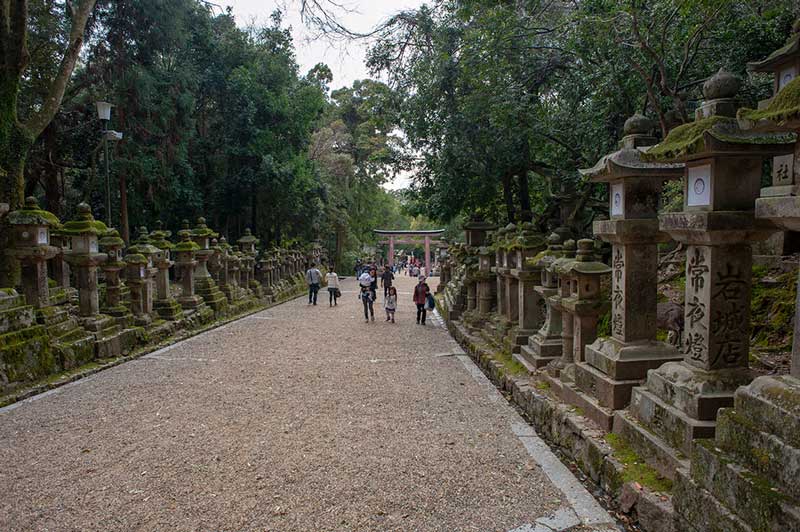 Kasuga lanterns in Nara