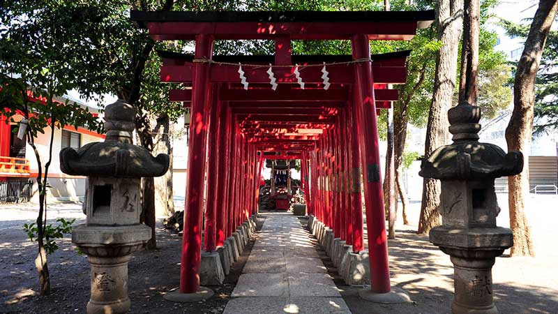 Torii gates